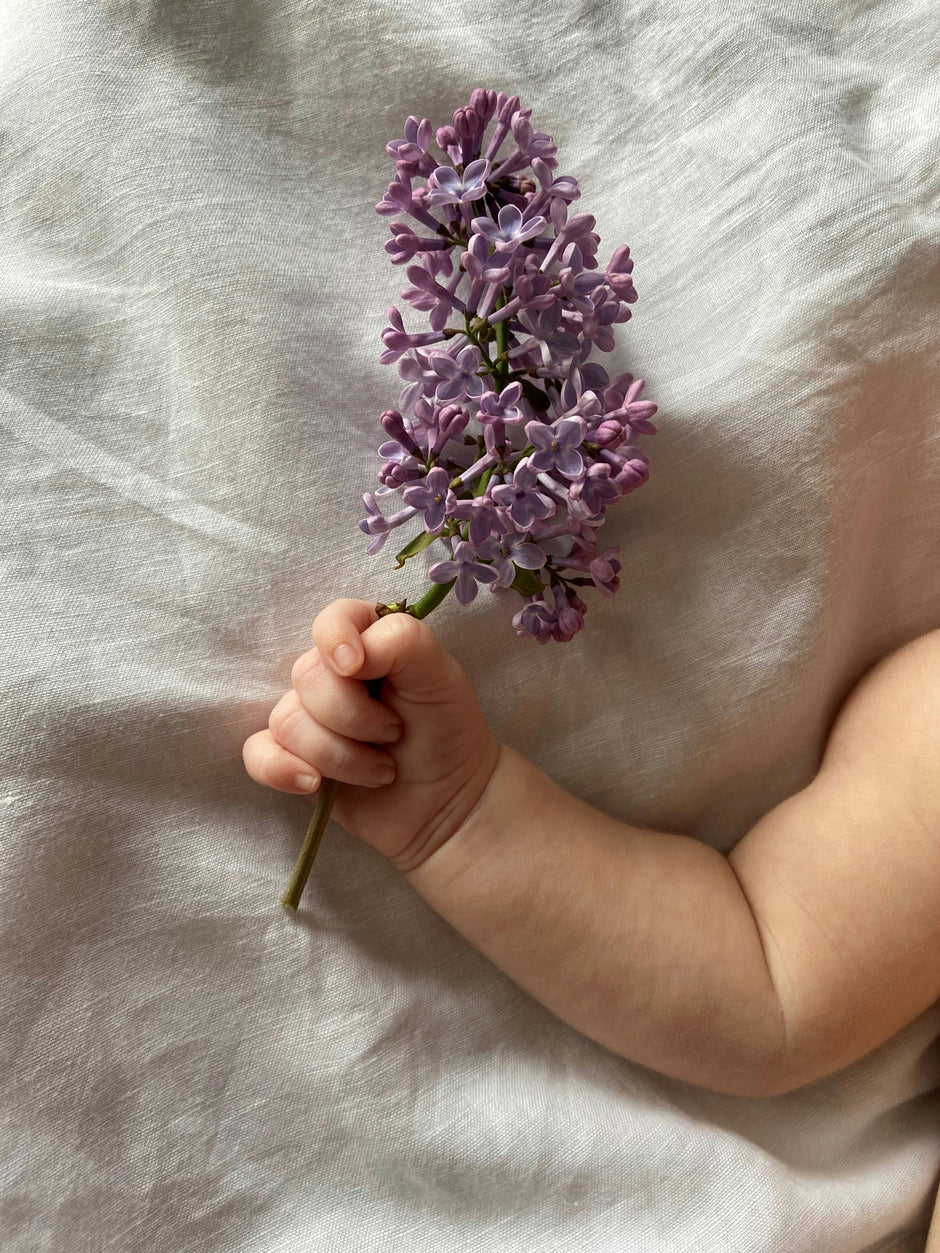 Baby's hand holding a purple flower on a soft white fabric background
